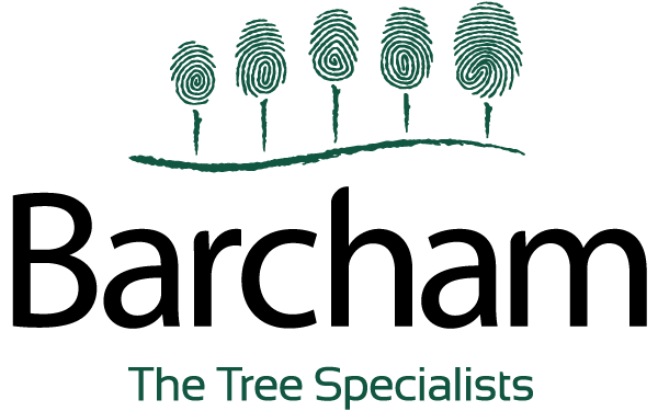 Barcham Tree Specialists