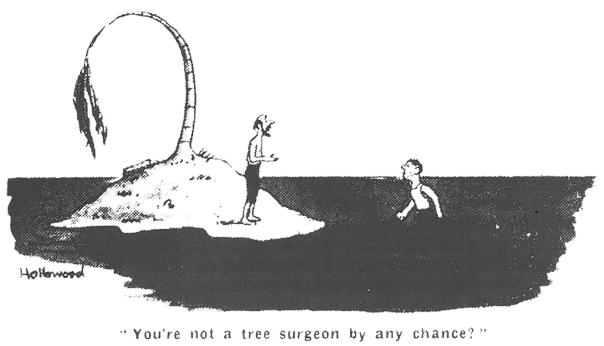 A cartoon from a 1972 edition of the Arboricultural Association News