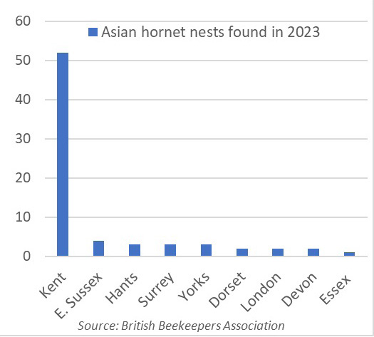 Asian hornet Graph