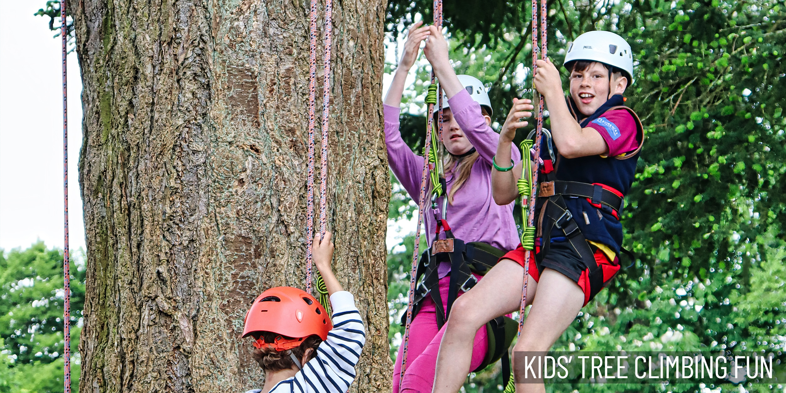 Kids’ Tree Climbing Fun