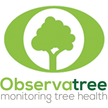 Observatree Logo