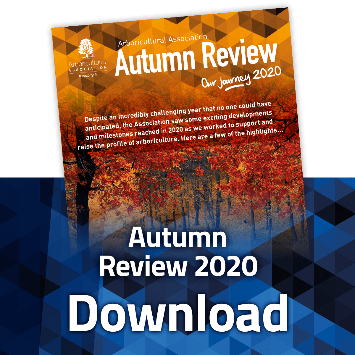 Download the 2020 Autumn Review