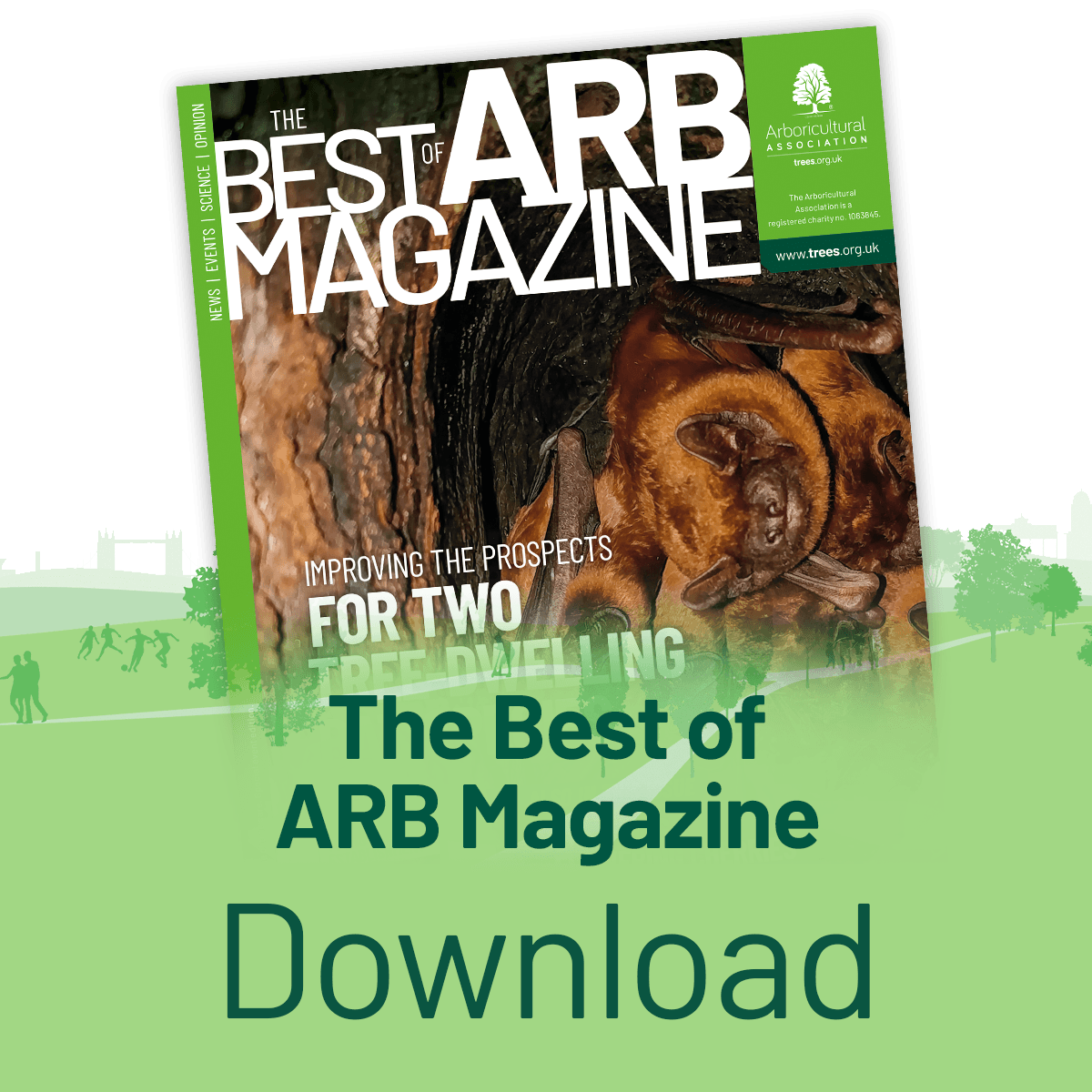 Click here to download the Best of ARB Magazine