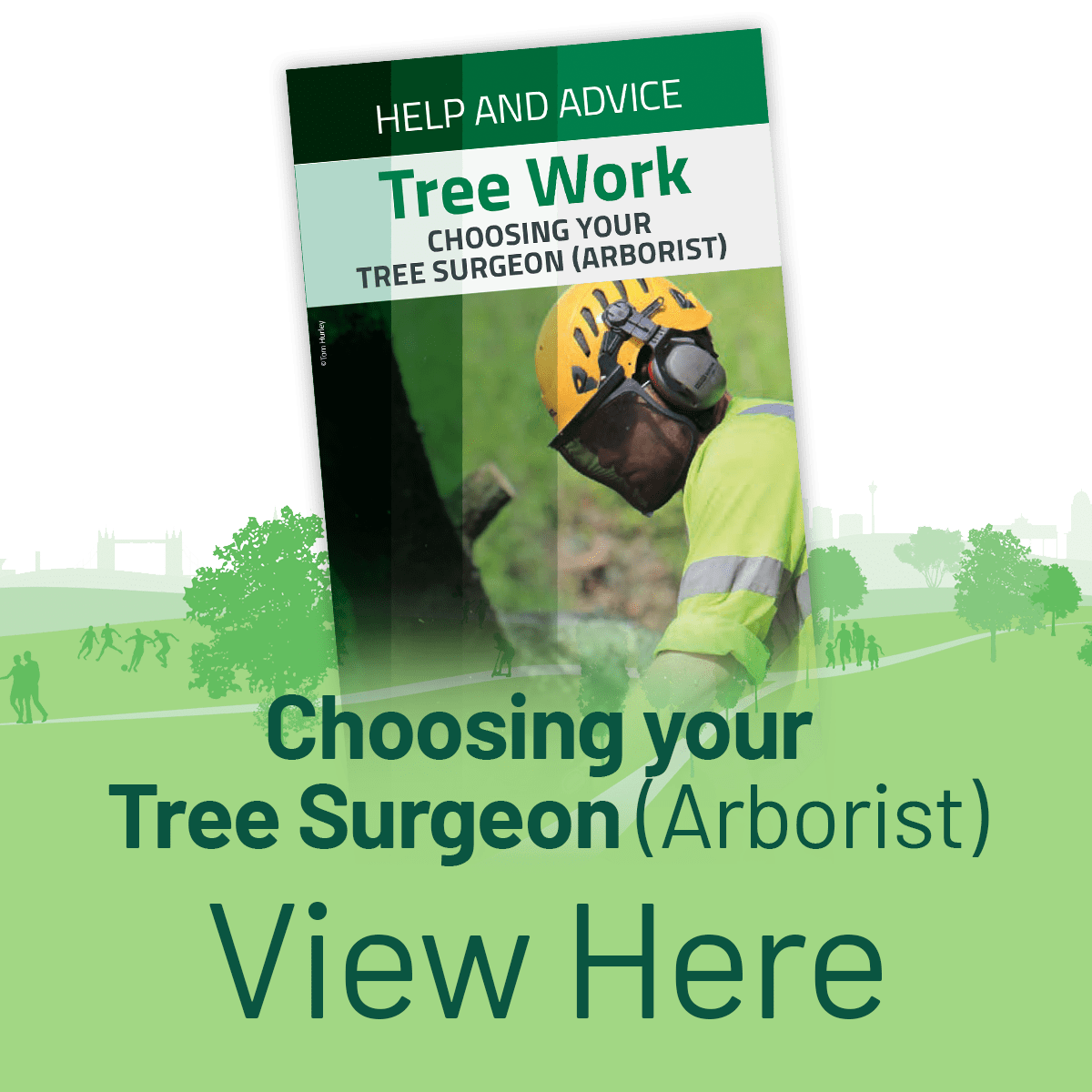 View the Choosing Your Arborist Leaflet