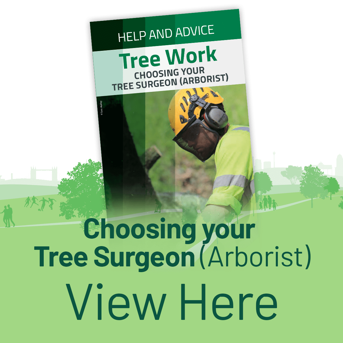 Arboricultural Association Help & Advice