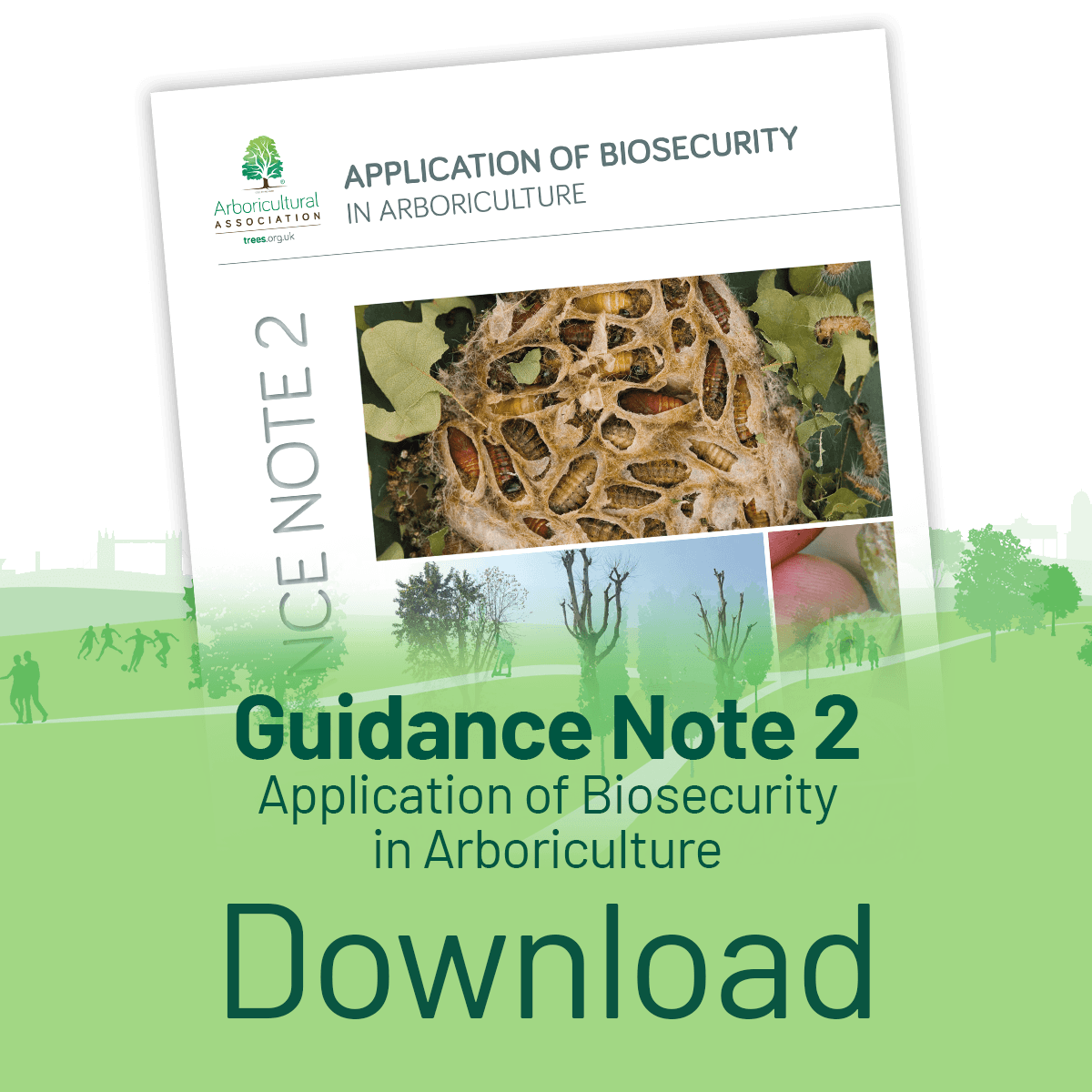 Guidance Note 2 – Application of Biosecurity in Arboriculture