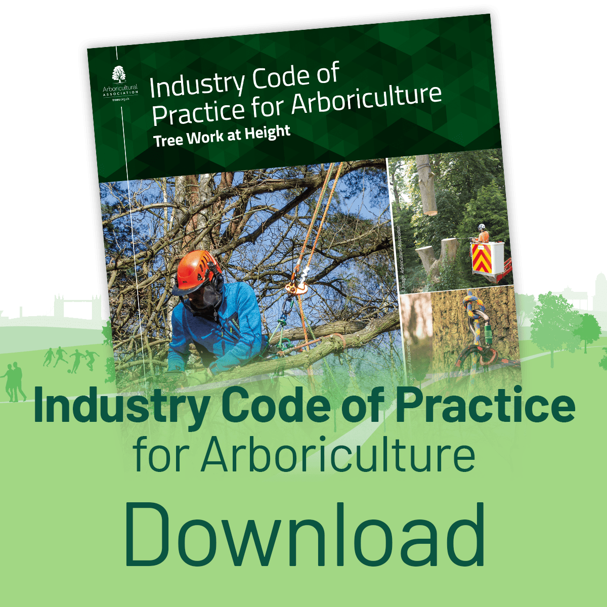 Download the Industry Code of Practice: Tree Work at Height