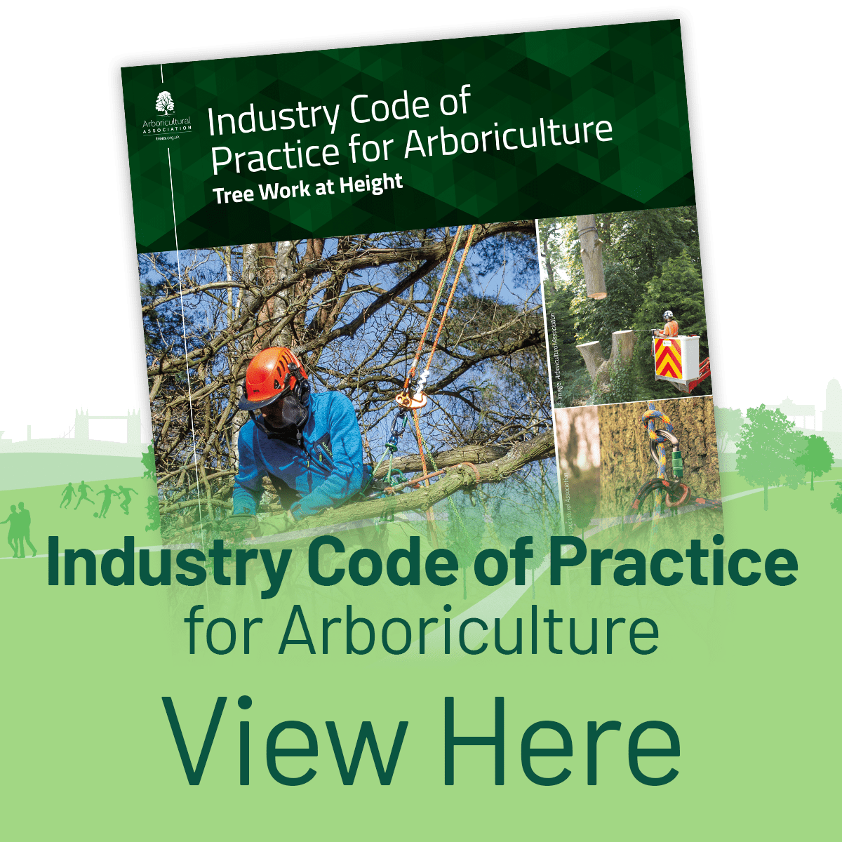 View the Industry Code of Practice: Tree Work at Height