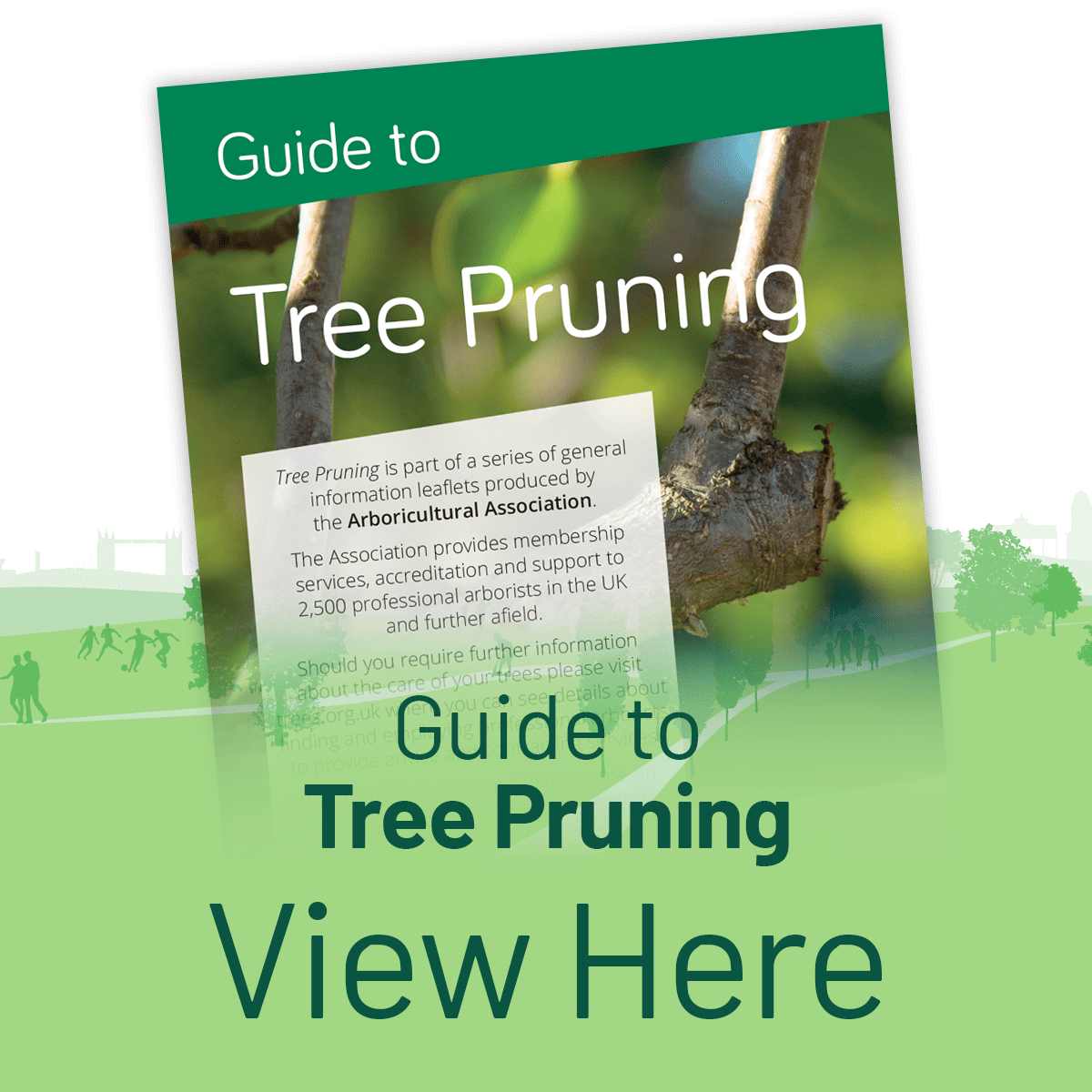 View the Guide to Pruning