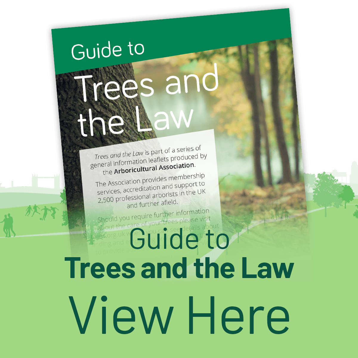 View the Guide to Trees and the Law Leaflet