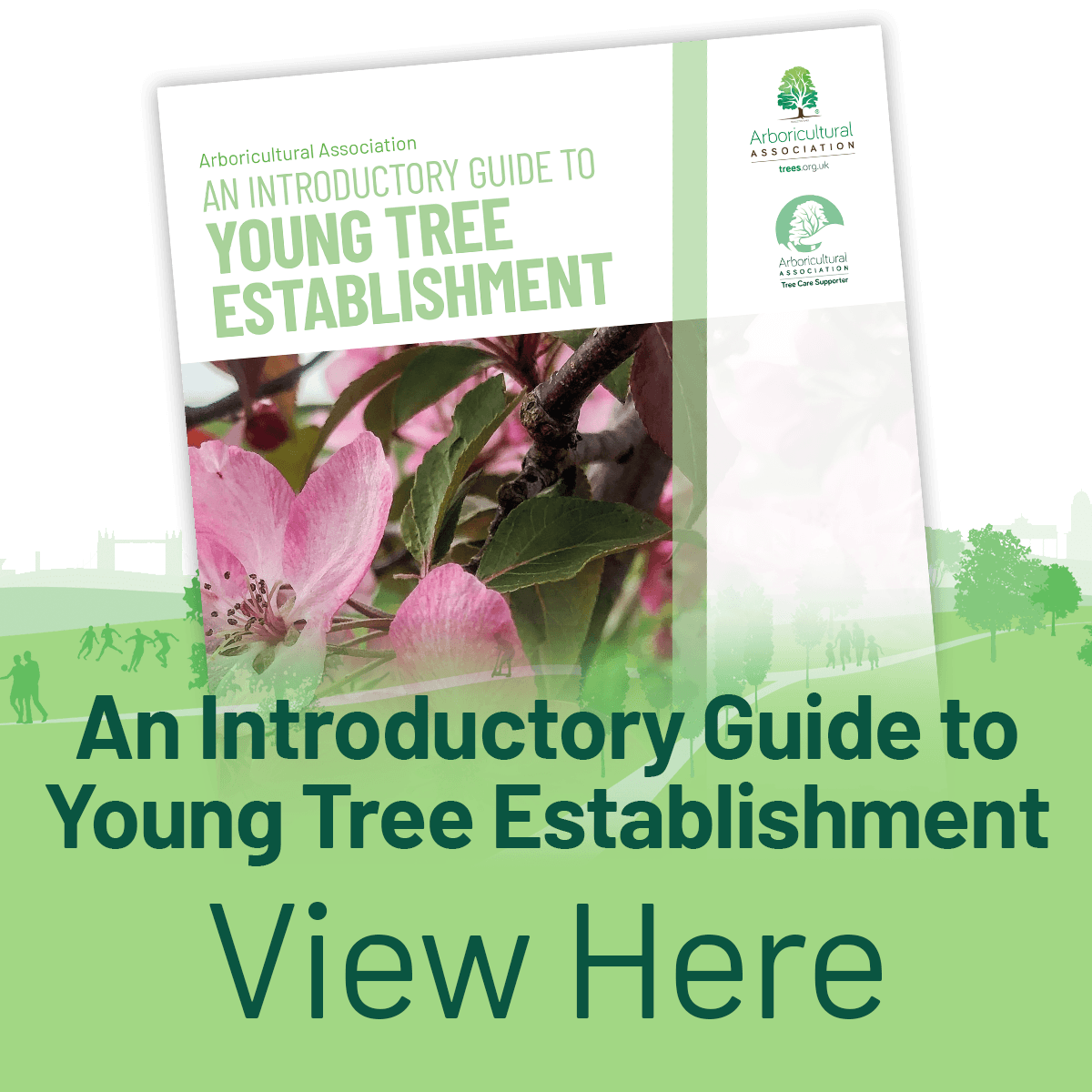 View the Introductory Guide to Young Tree Establishment Sieries