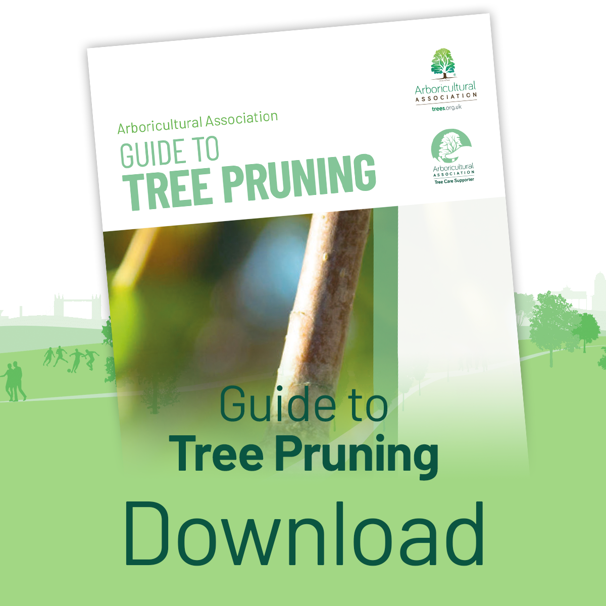 Download the Guide to Pruning