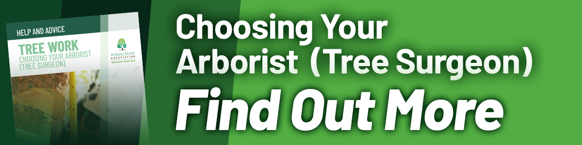 Find Out More about Choosing Your Arborist (Tree Surgeon)
