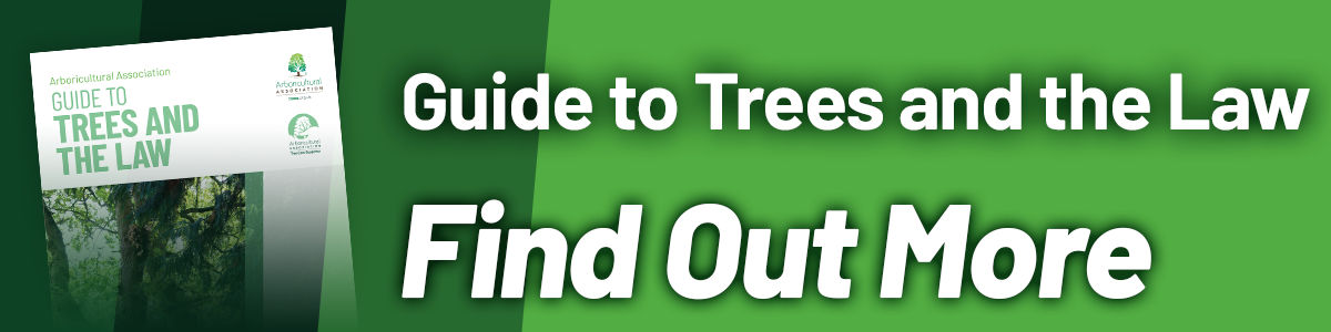 Find Out More about Trees and the Law