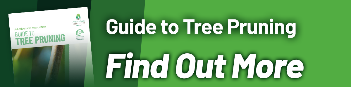 Find Out More about Tree Pruning