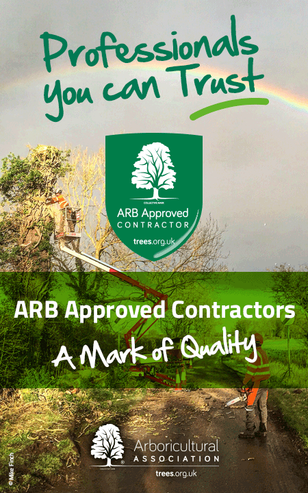 ARB Approved Contractors – Professionals you can Trust