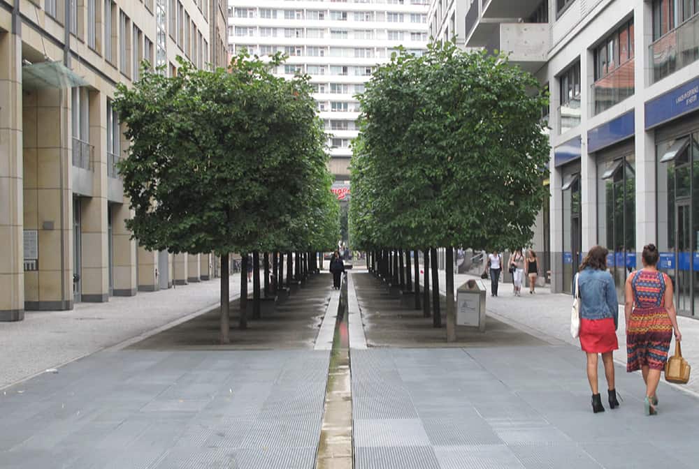 Innovative urban planting in Berlin.