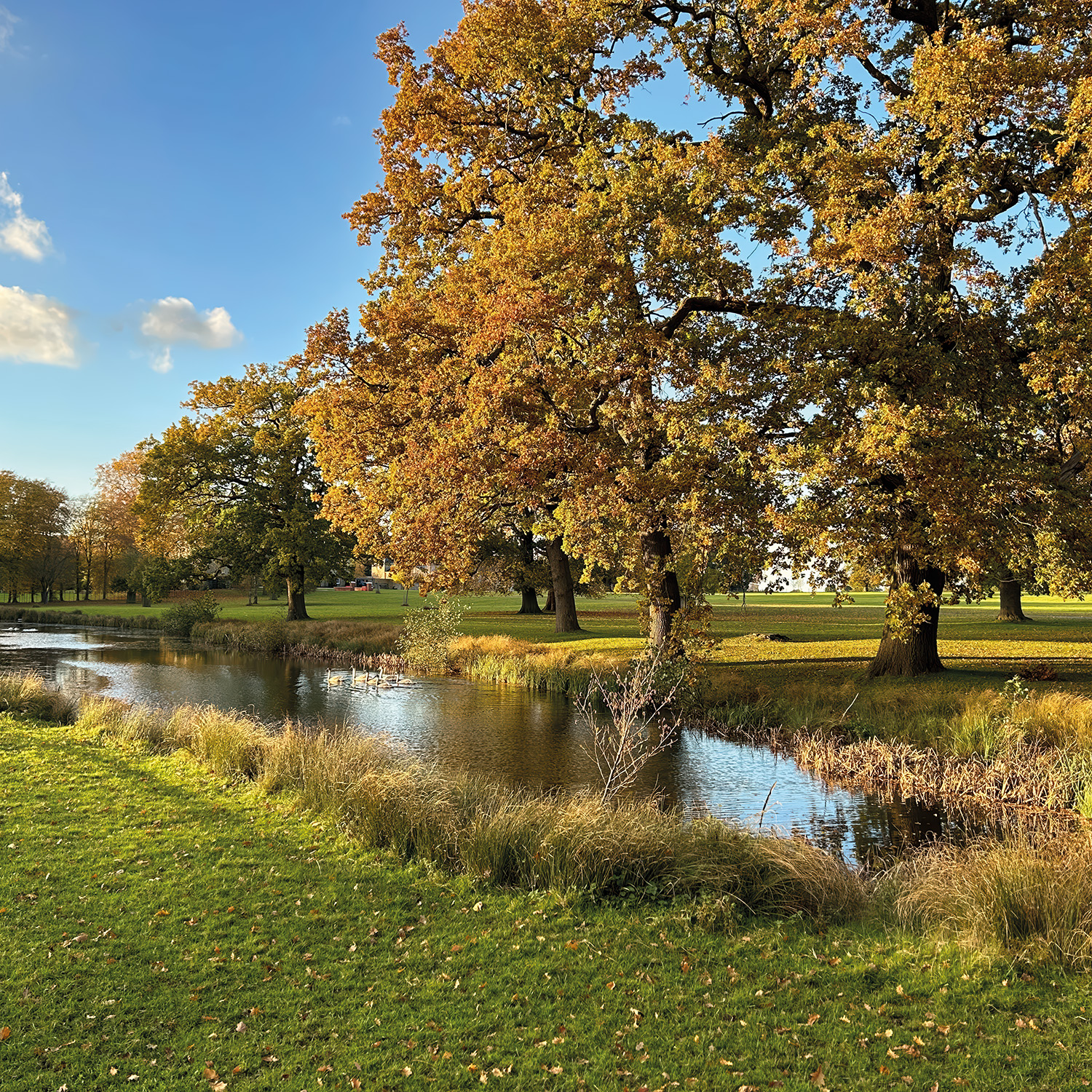 Packington Hall Estate