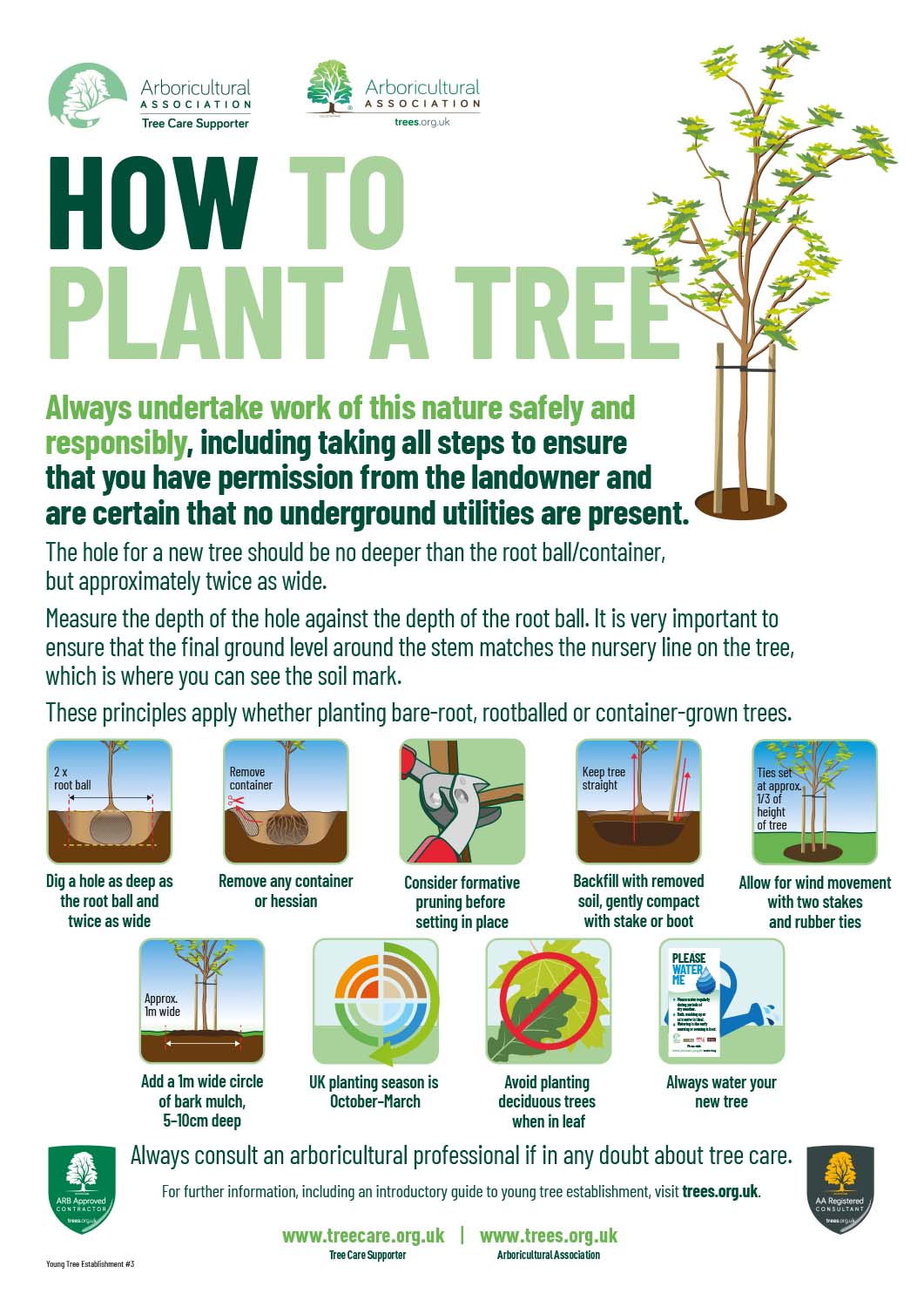 Young Tree Establishment Series No.3 How to Plant a Tree