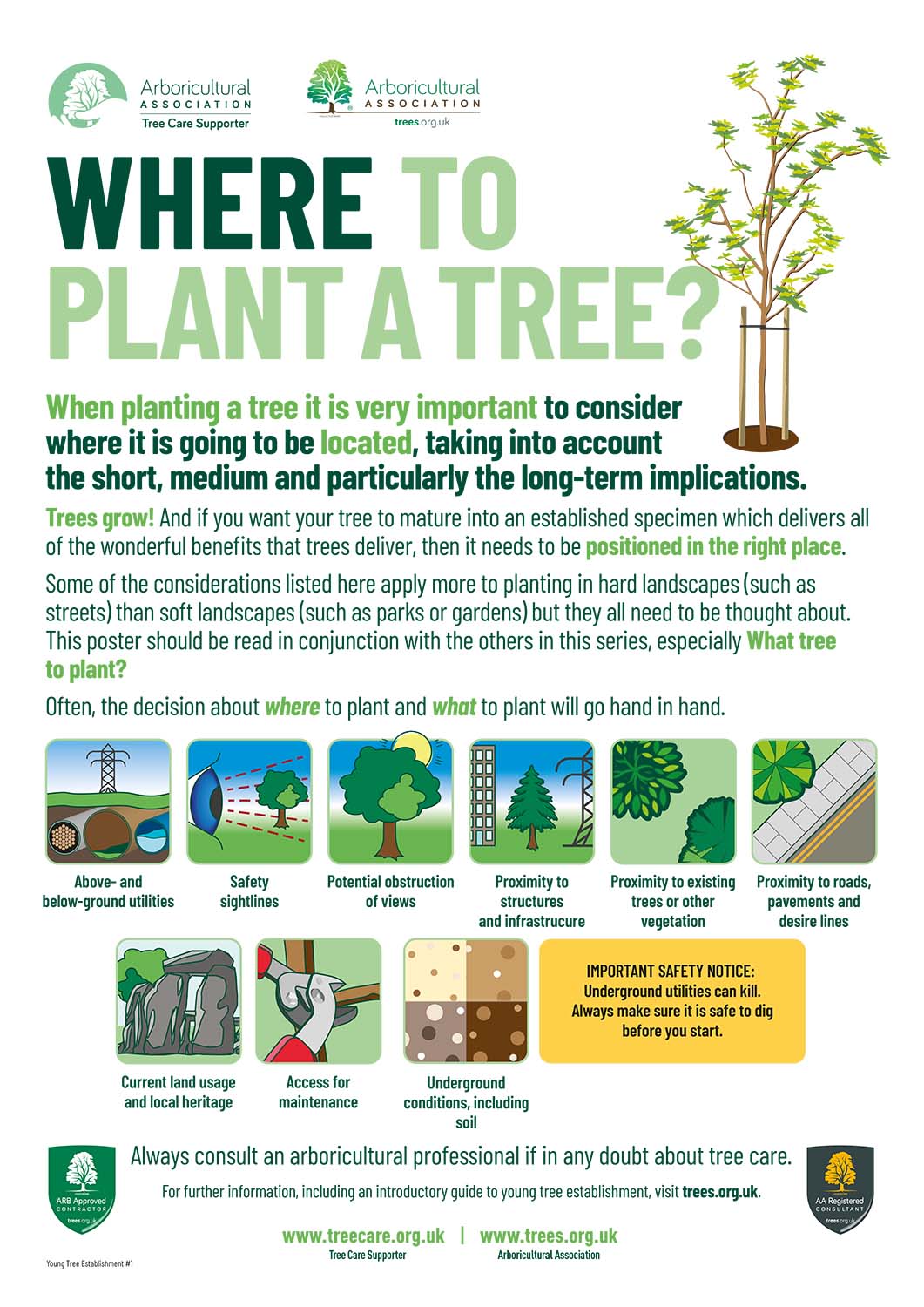 Young Tree Establishment Series No.1 Where to Plant a Tree