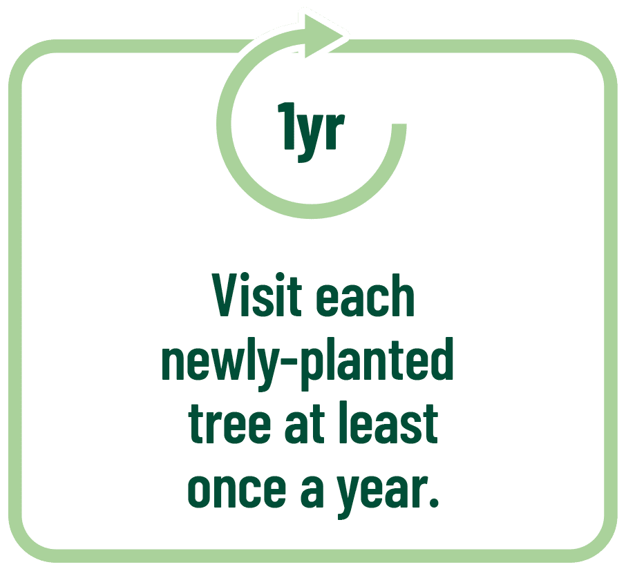 Vist at least once a year