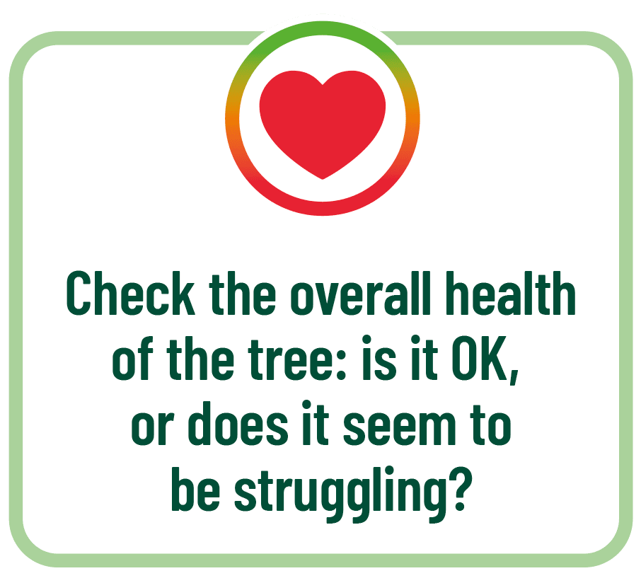 Check overall health