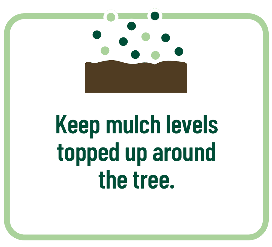 Keep mulch levels topped up