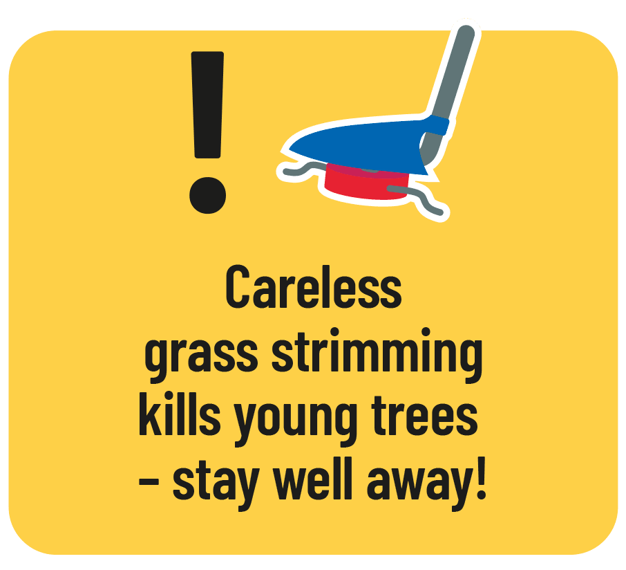 Careless grass strimming