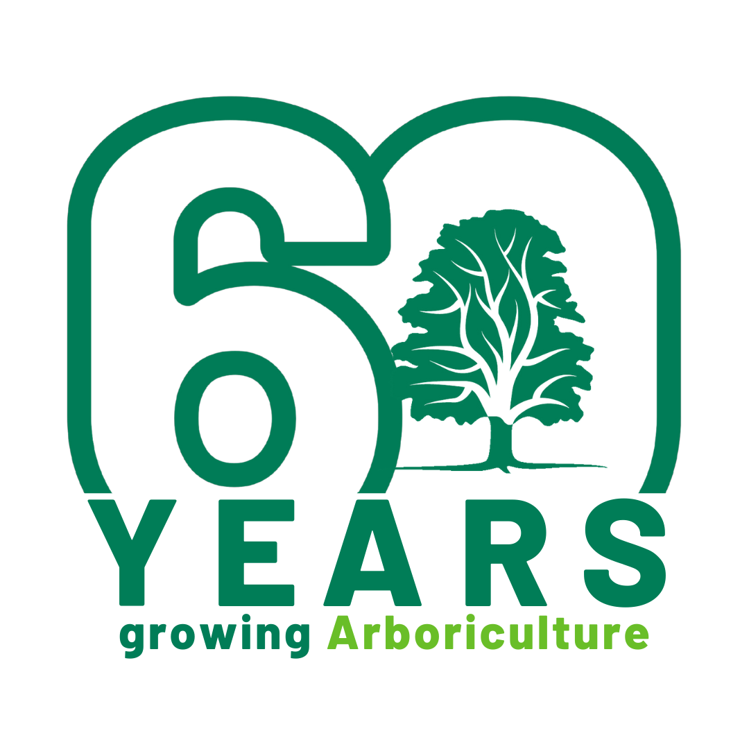 Arboricultural Association – 60 years