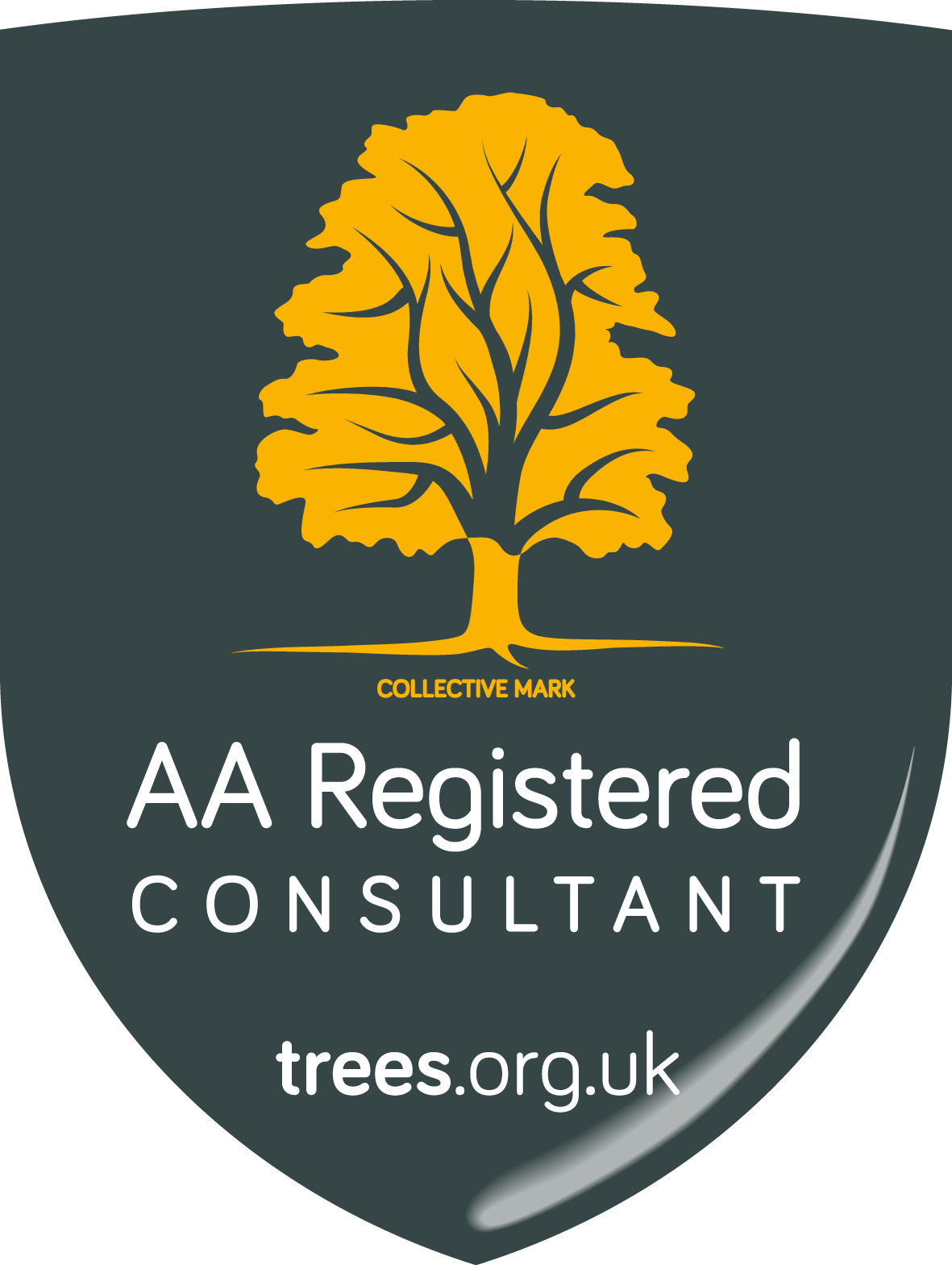 AA Registered Consultant