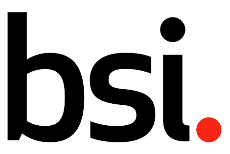 British Standards Institution (BSI)