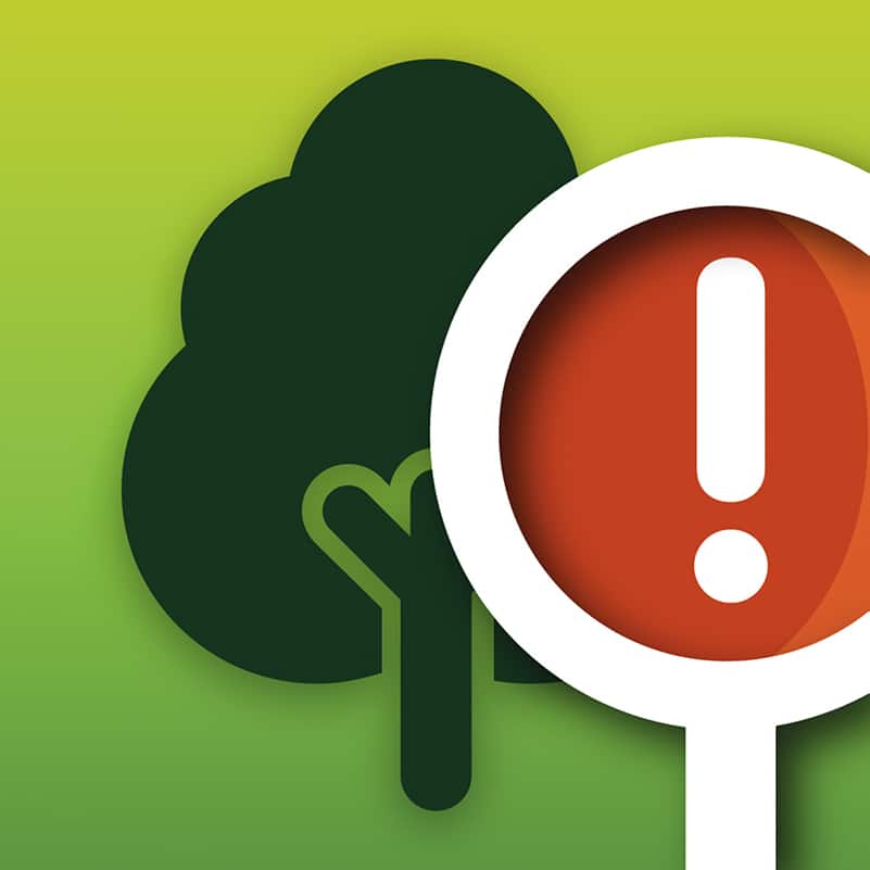 TreeAlert Logo