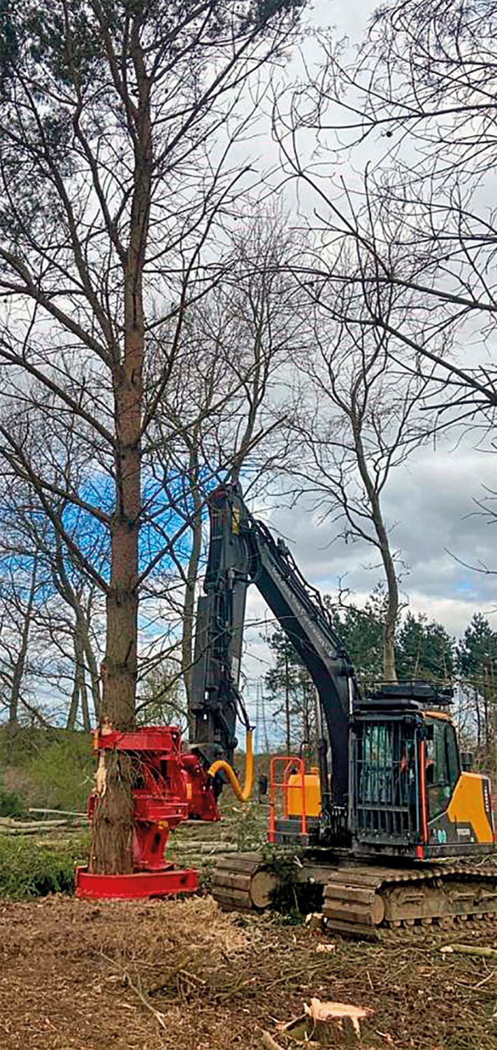 Tree shears/Grapple saws