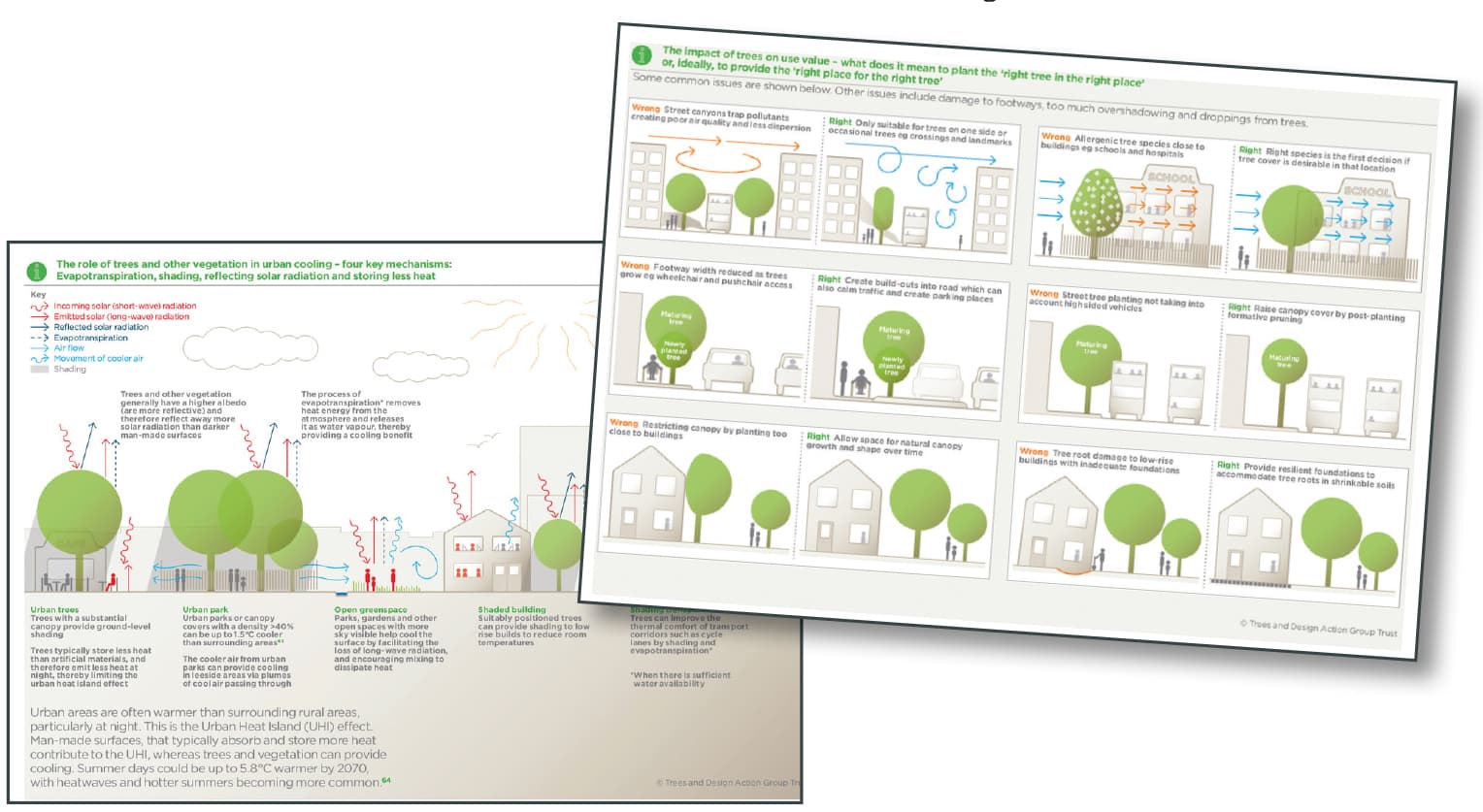 Infographics from Trees, Planning and Development: A Guide for Delivery