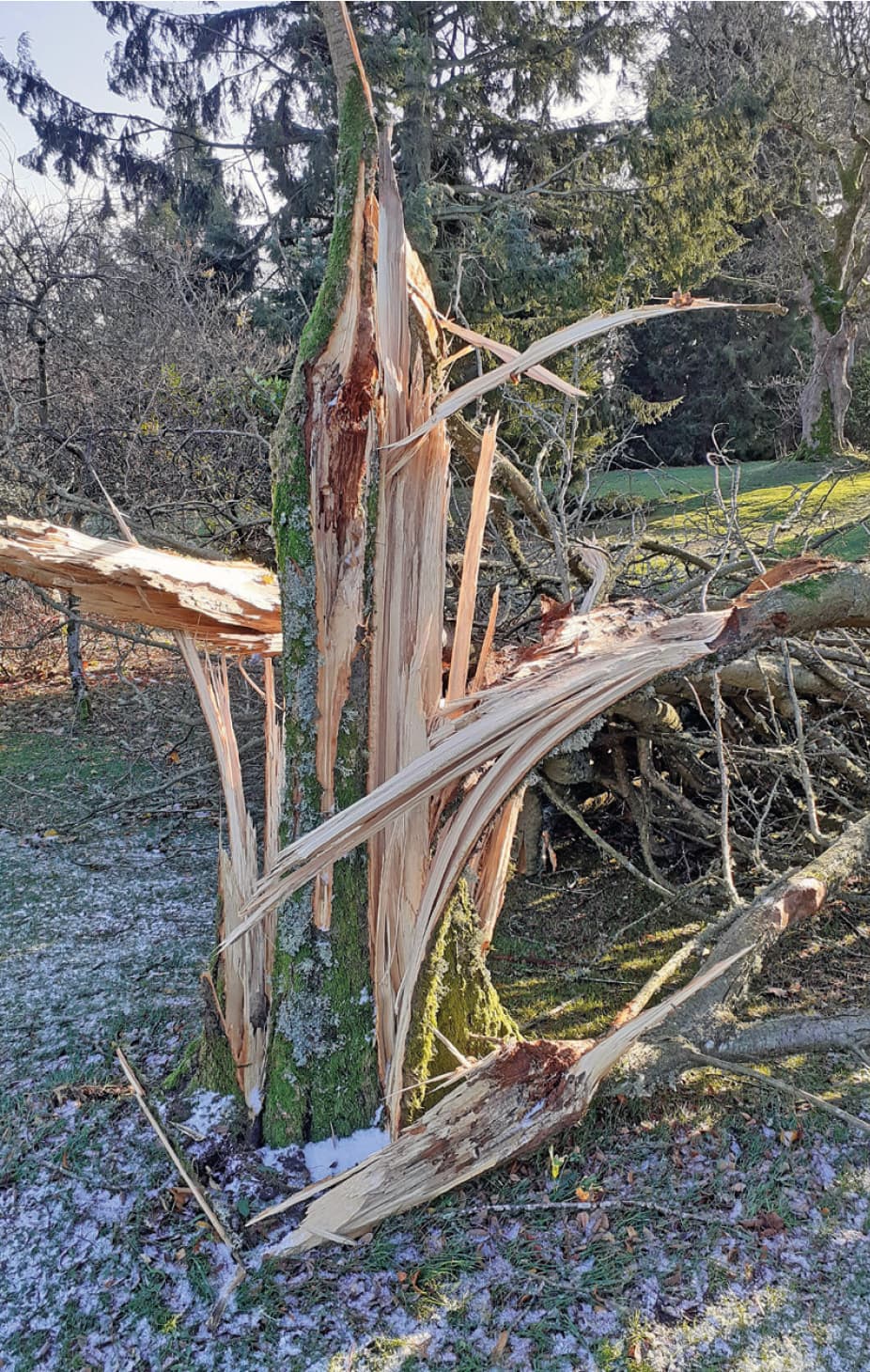 A splintered base at Drum Castle © Struan Dalgleish