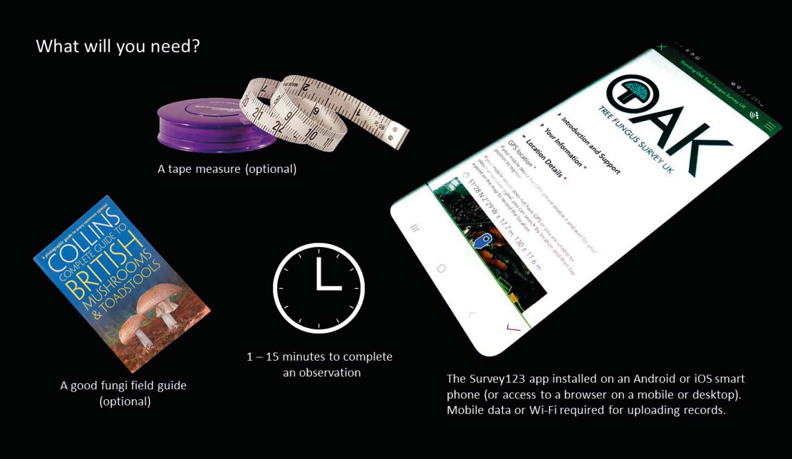 Figure 13: The Standing Oak Tree Fungus Survey app requires only a mobile phone and a few minutes to make submissions. (© Rich Wright)