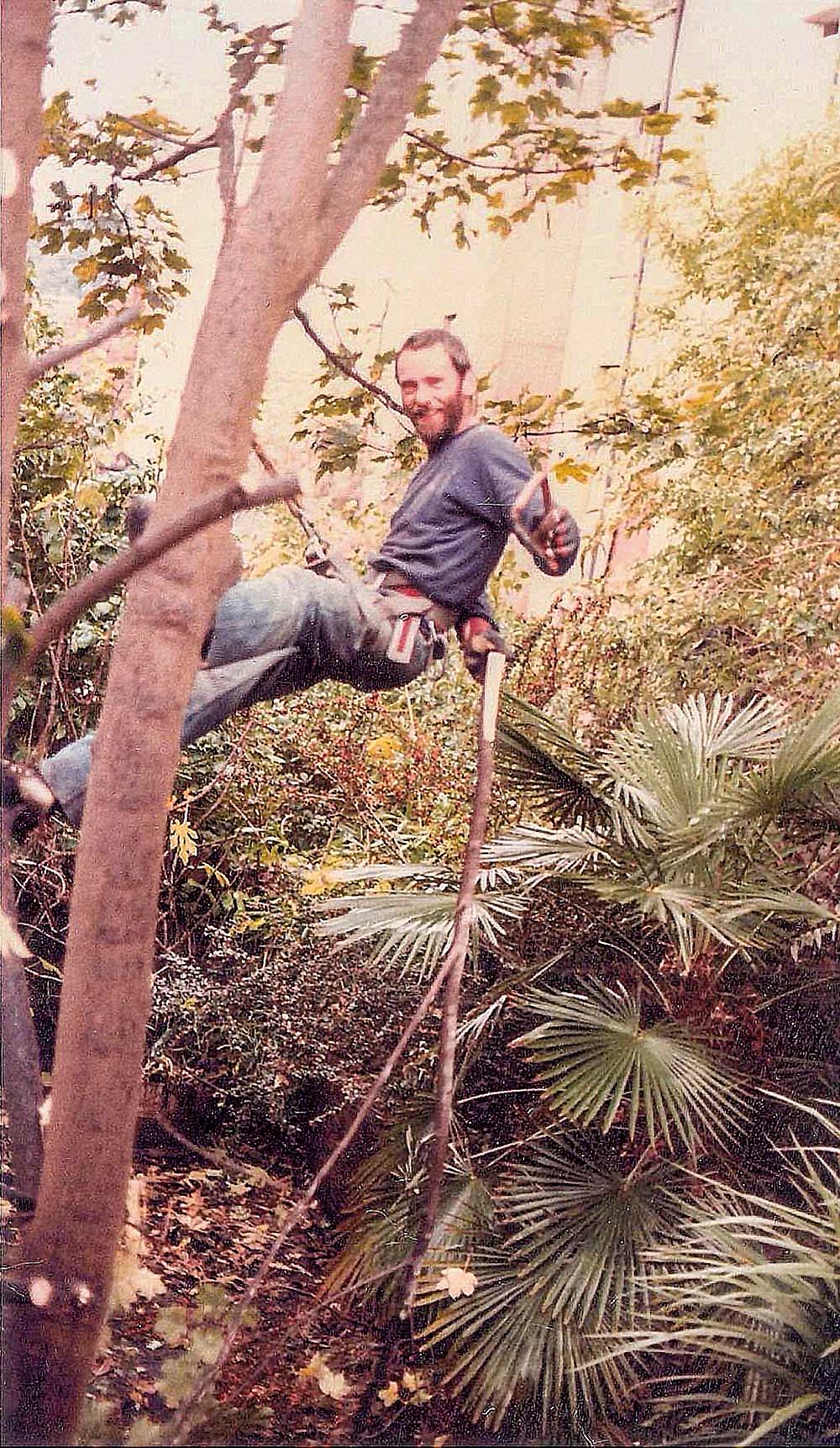 Dave Lofthouse in a tree