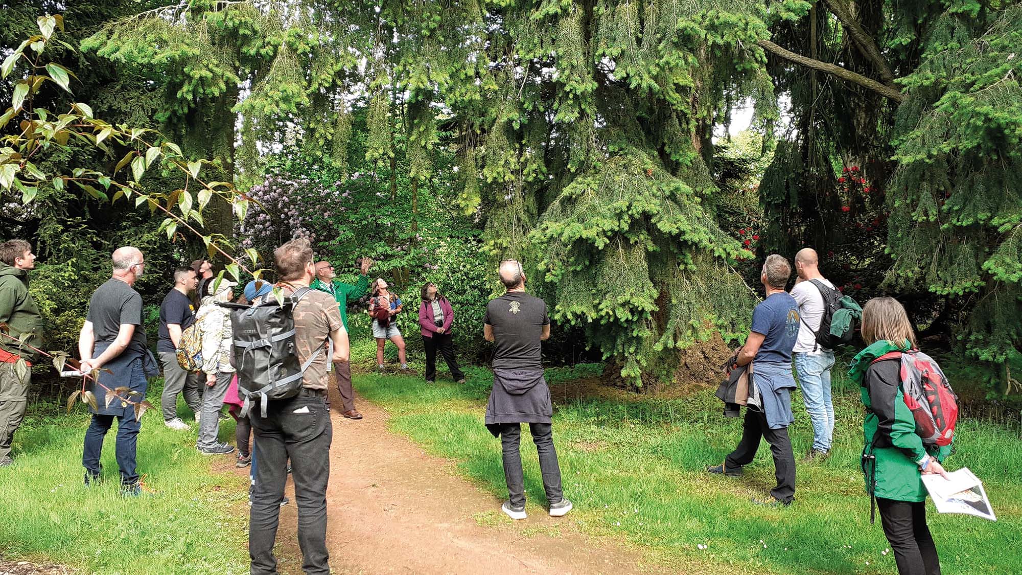 Tree walks at the Tree Care Forum 2022 at Westonbirt Arboretum