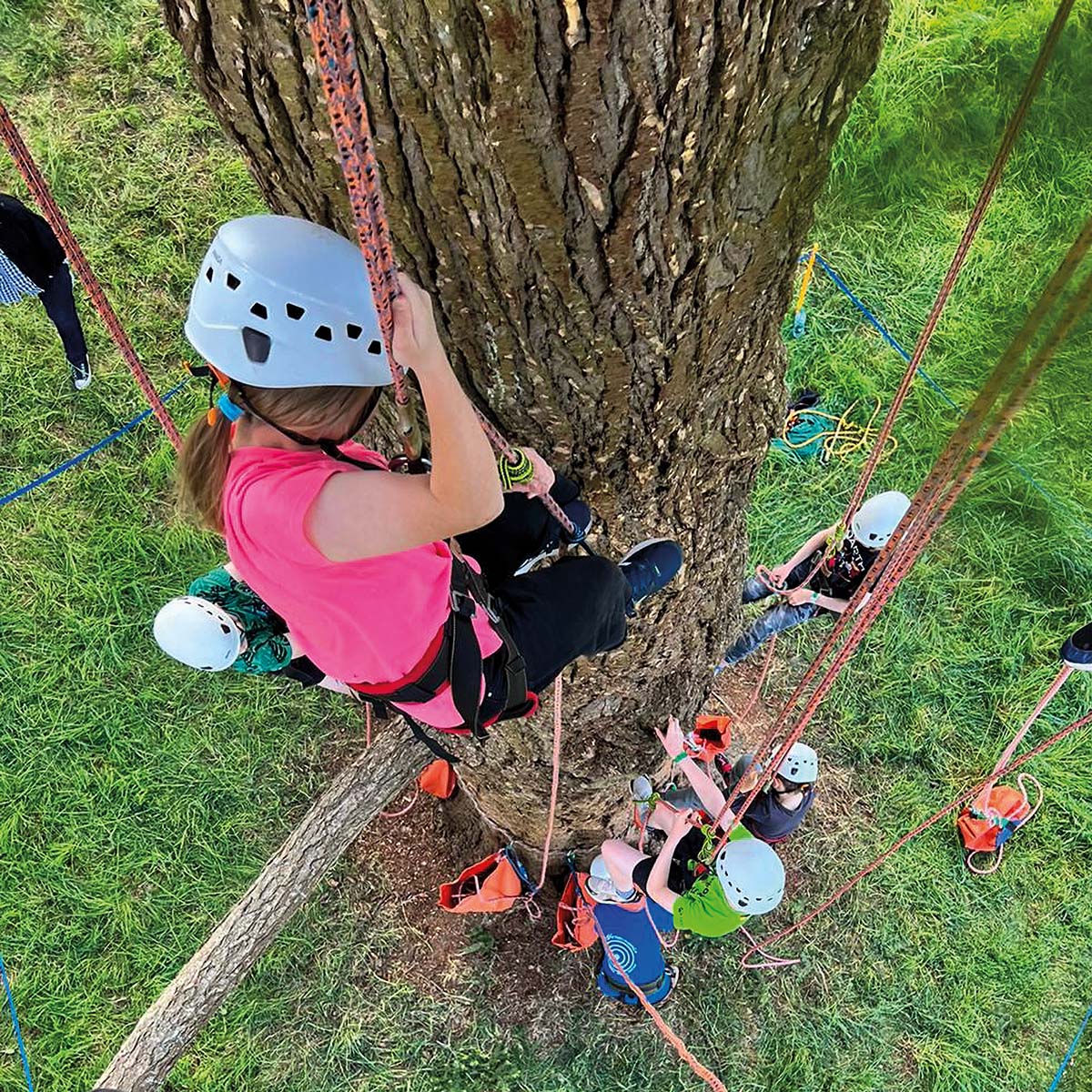 Childrens tree climbing at the Tree Care Forum 2022 at Westonbirt Arboretum