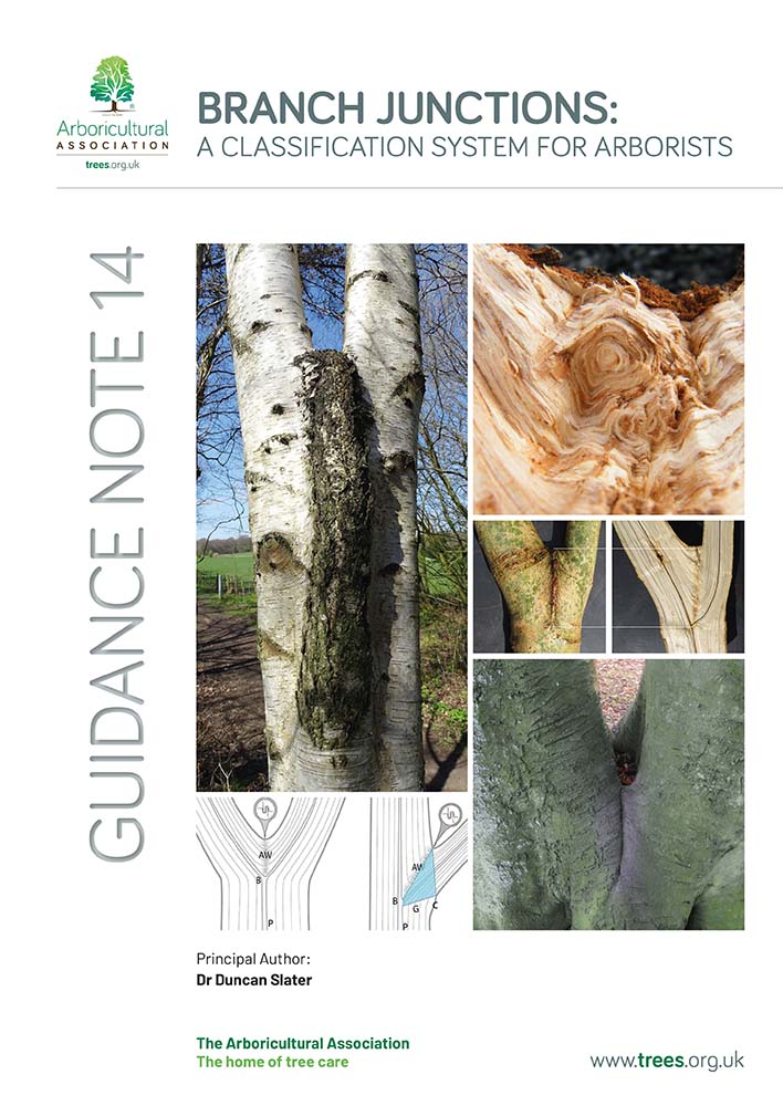 Guidance Note 14 - Branch Junctions: A Classification System for Arborists