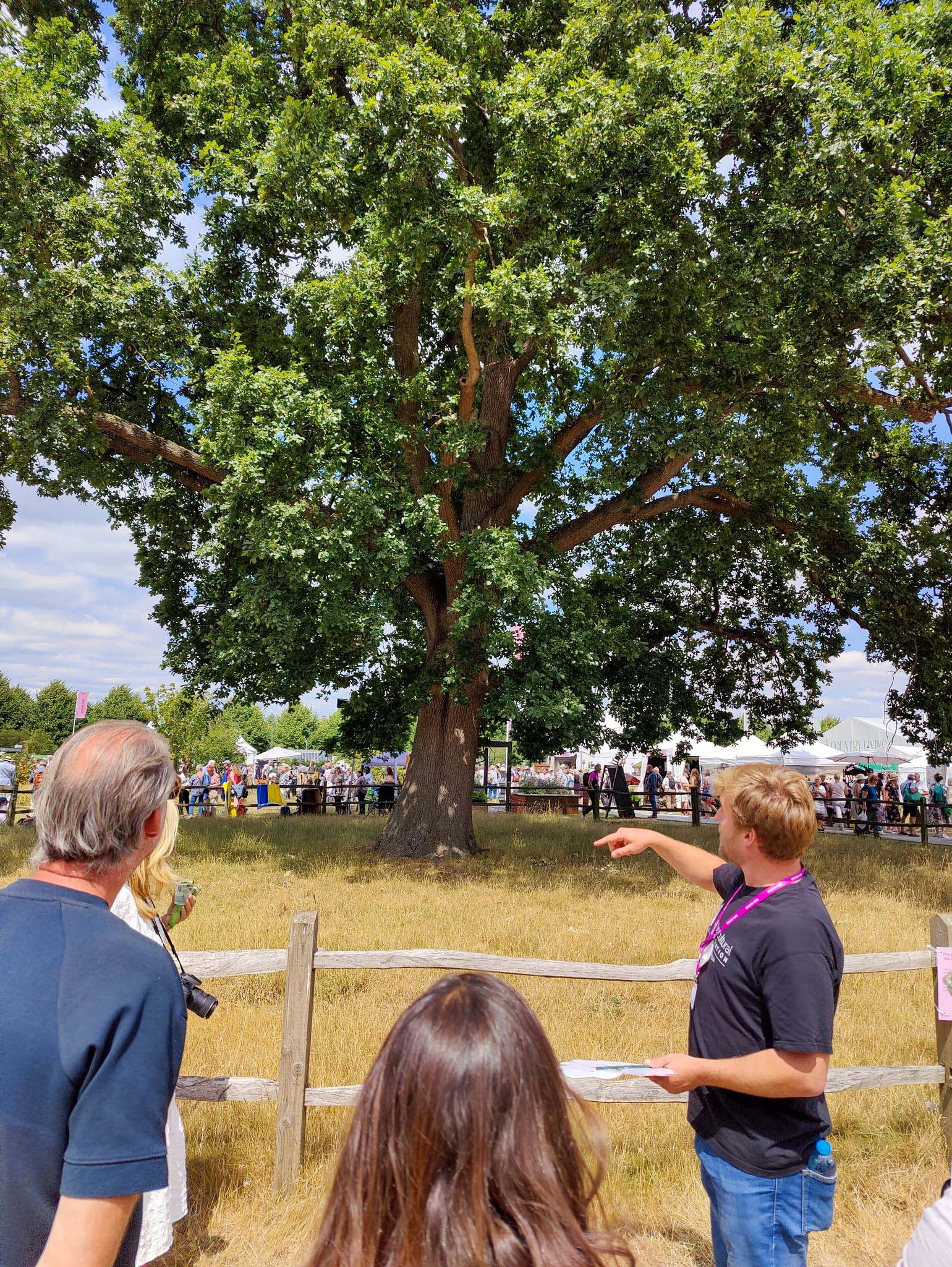 John Parker delivers a tree walk on the Hampton Court grounds.