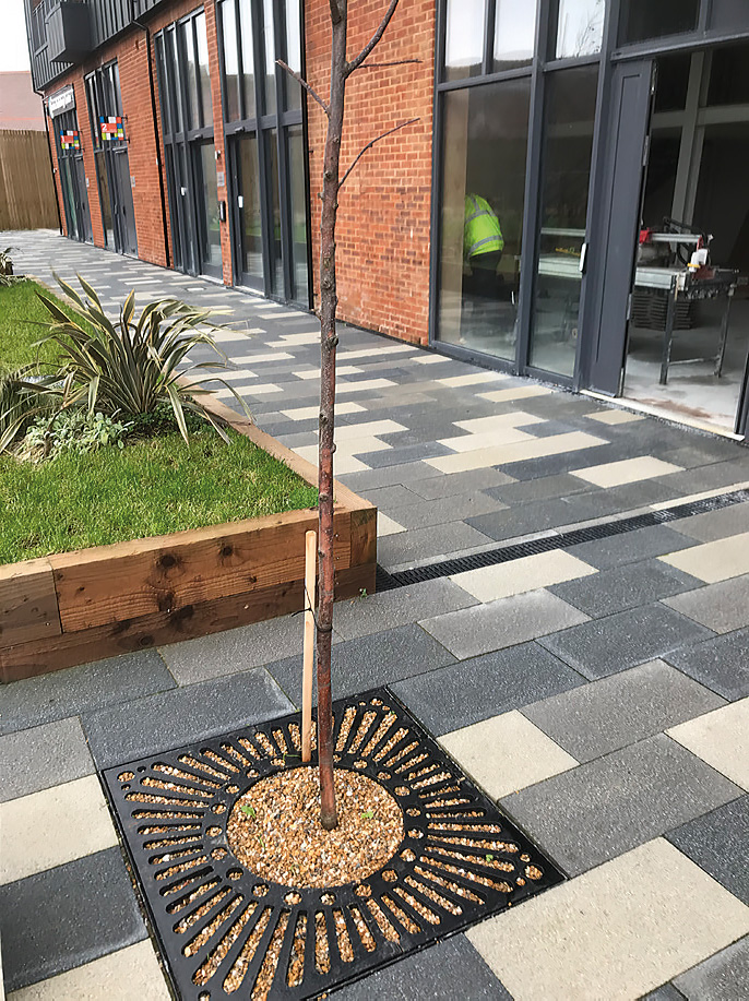 Supplementary staking? Elaborate hard landscape but dead tree.