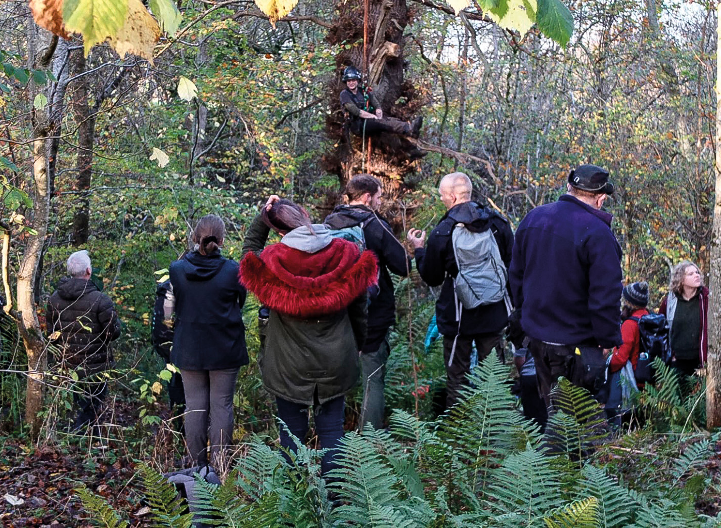 Out in the field: bats and trees habitat workshop at Chatelherault Country Park.