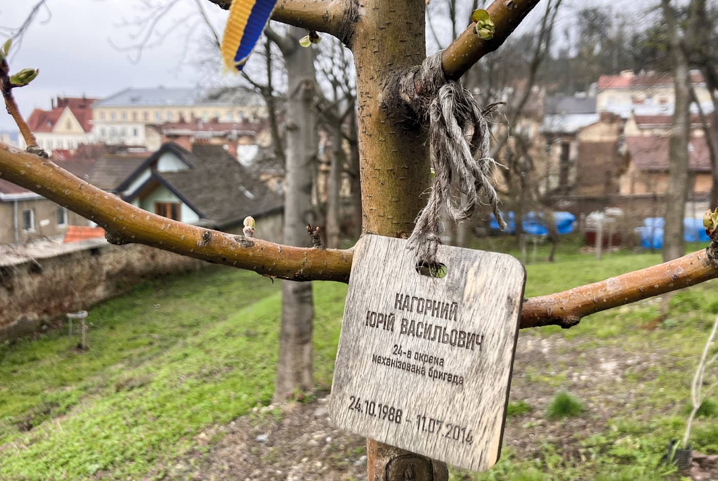 Memorial trees at the Memorial of the 100 Heavenly Heroes, Lviv.