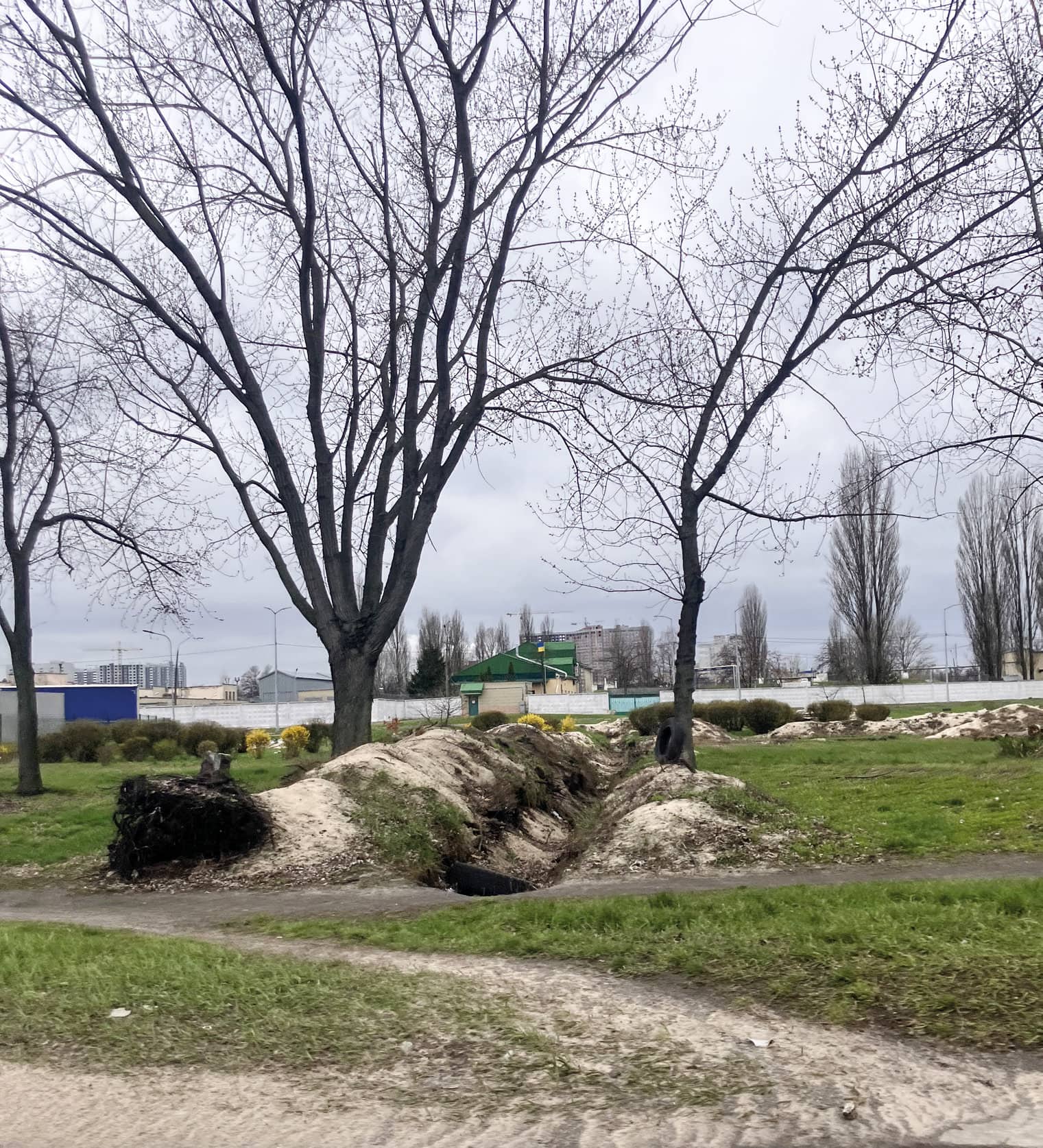 Defensive trenches in the root protection area, Kyiv.