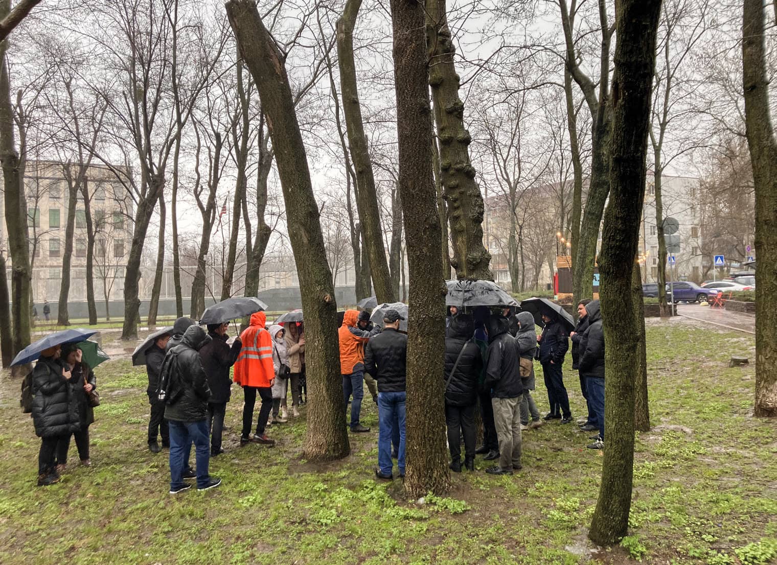 Teaching tree inspection in a downpour, Kyiv.