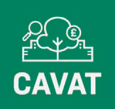 CAVAT Logo