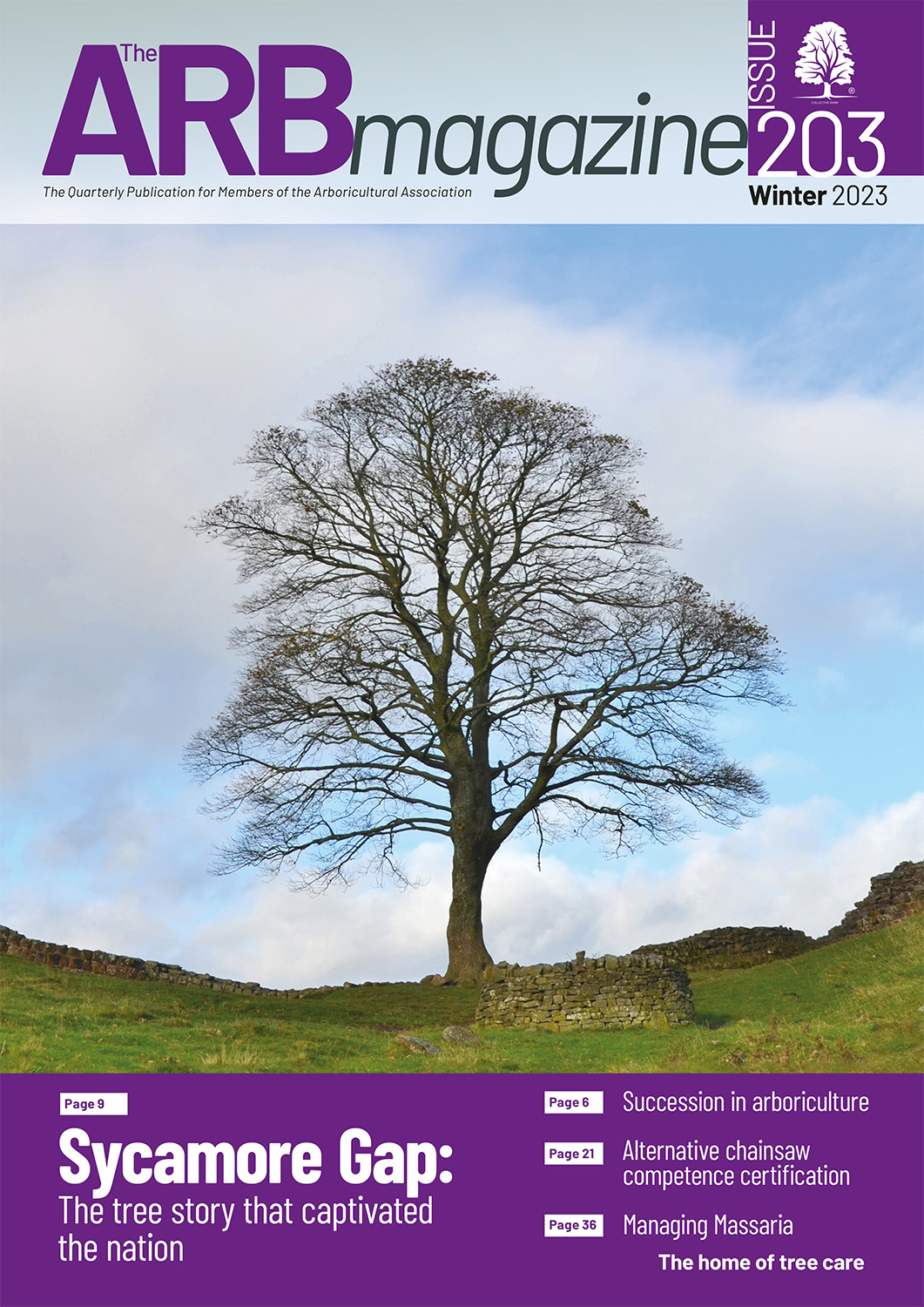 The Digital ARB Mag