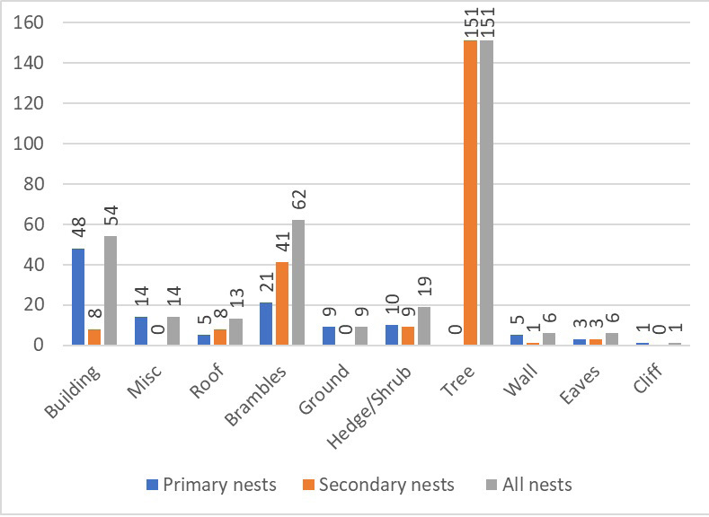 Asian hornet Graph