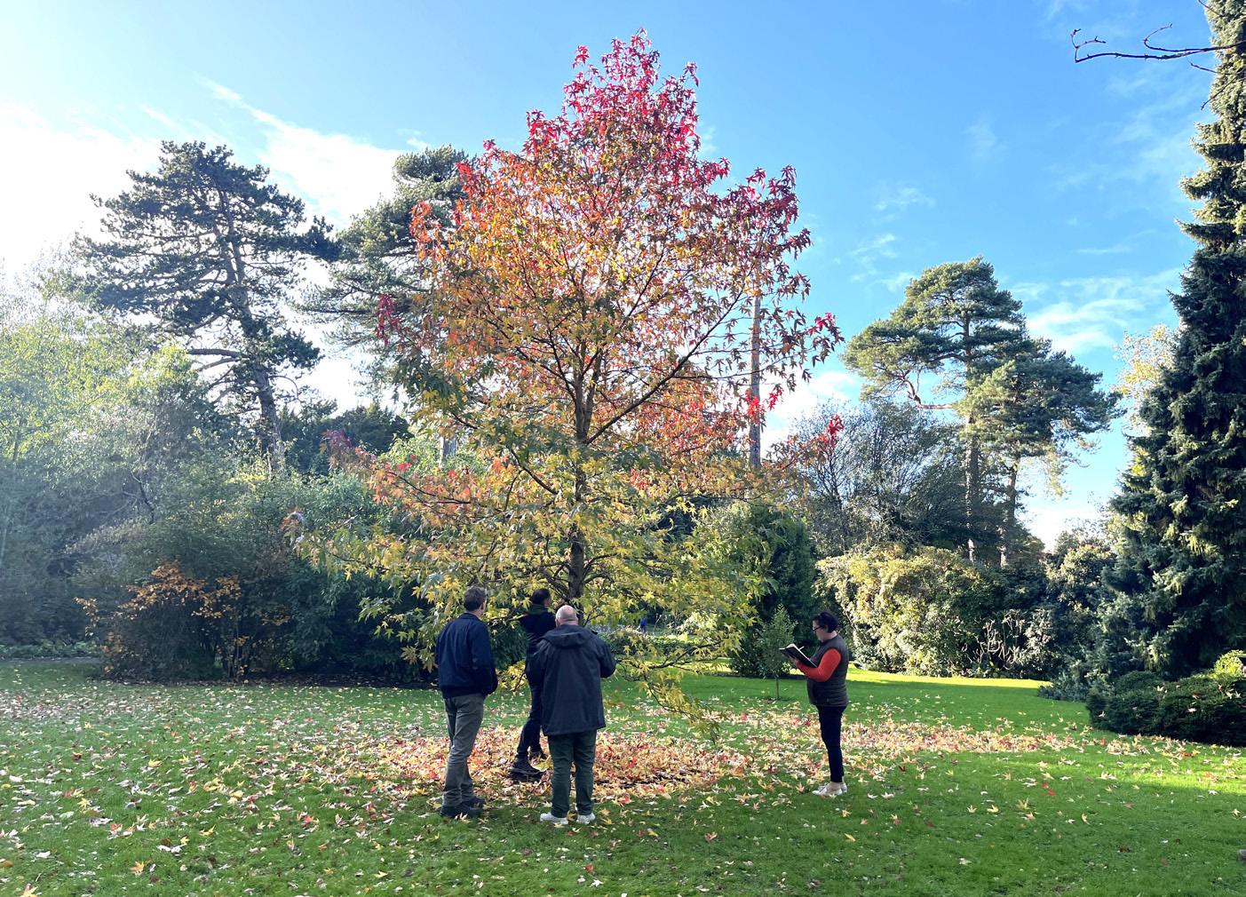 Delegates in Dublin’s National Botanic Gardens putting the CAVAT system into practice